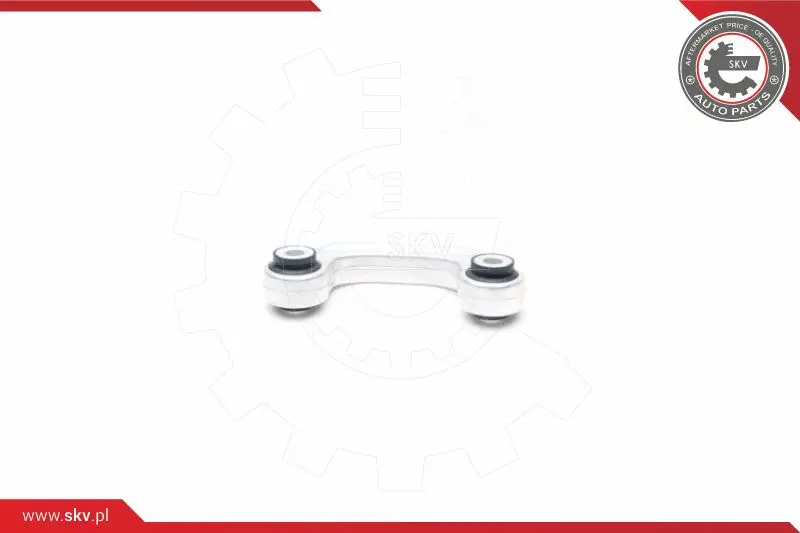 биалета ESEN SKV            