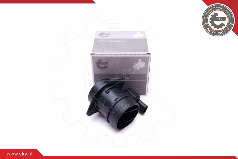 въздухомер-измерител на масата на въздуха ESEN SKV            