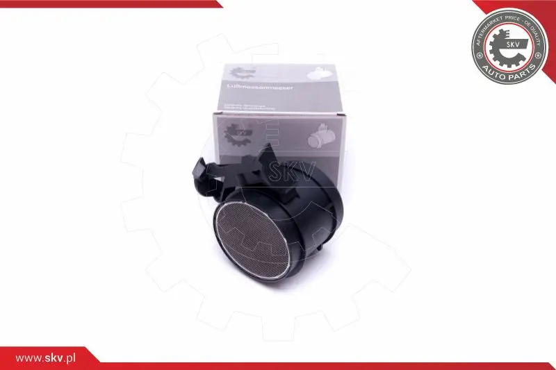 въздухомер-измерител на масата на въздуха ESEN SKV            