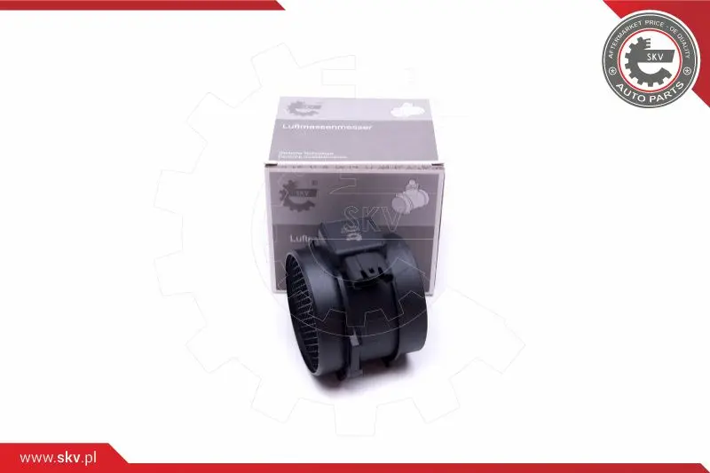 въздухомер-измерител на масата на въздуха ESEN SKV            