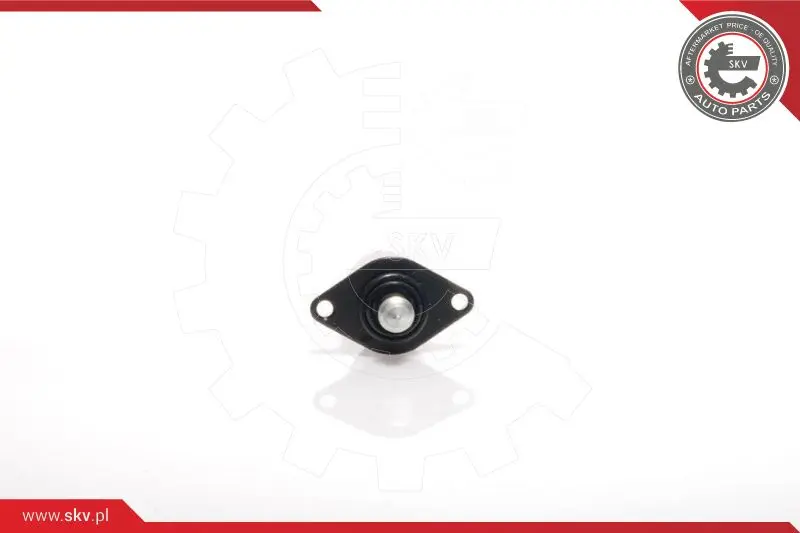 регулиращ клапан на свободния ход, захранване с въздух ESEN SKV            