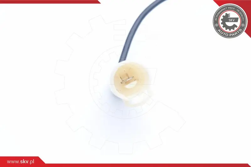 ламбда-сонда ESEN SKV            