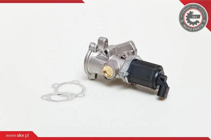 AGR-Клапан ESEN SKV            