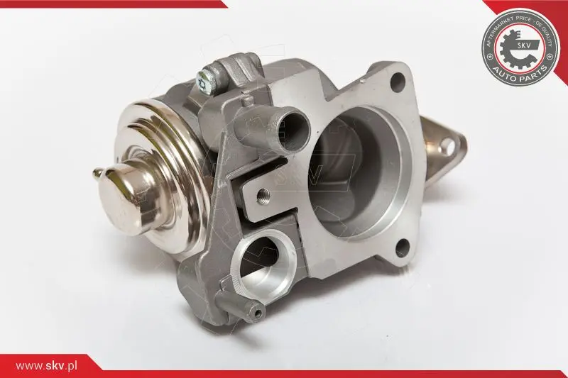 AGR-Клапан ESEN SKV            