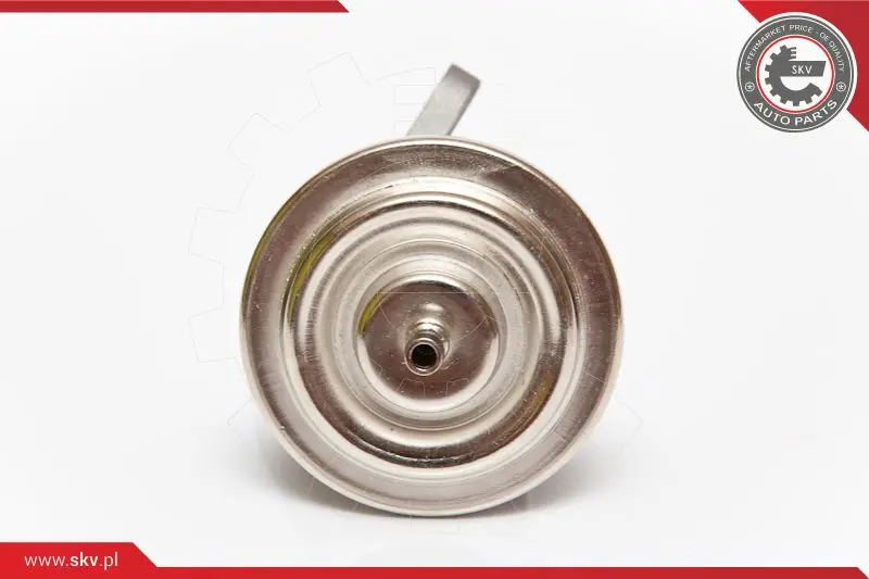 AGR-Клапан ESEN SKV            