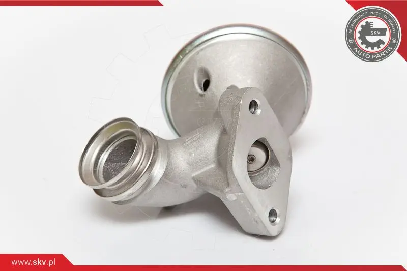 AGR-Клапан ESEN SKV            