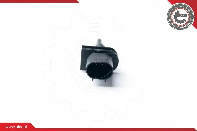 датчик, външна температура ESEN SKV            