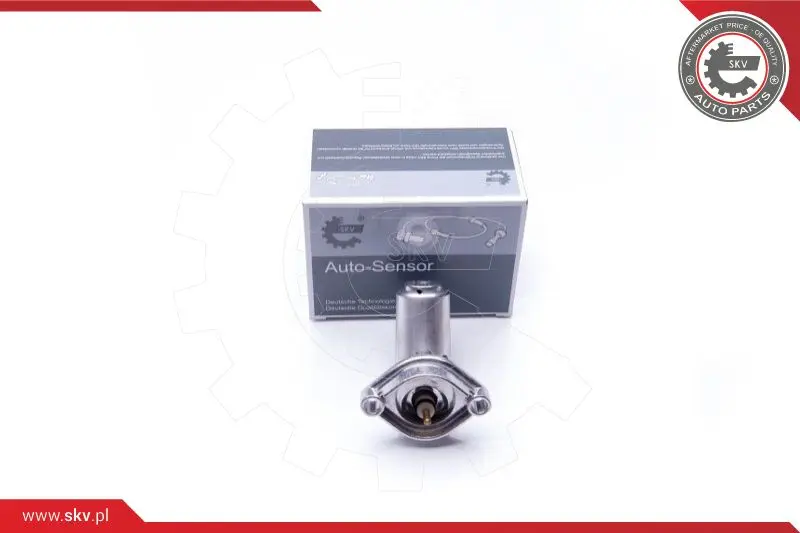 датчик, ниво на маслото в двигателя ESEN SKV            