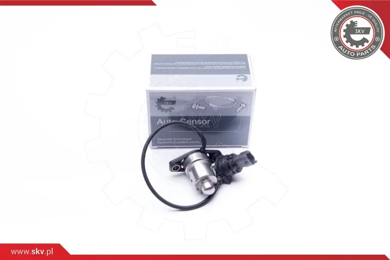 датчик, ниво на маслото в двигателя ESEN SKV            