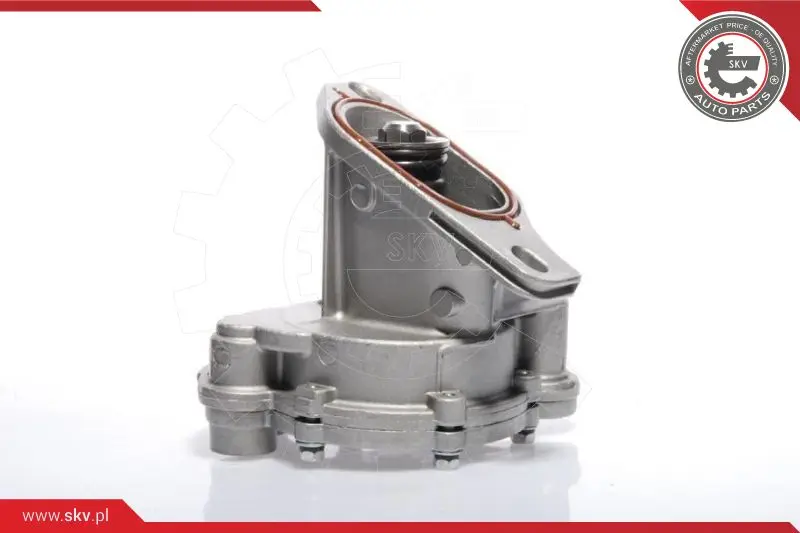 вакуум помпа, спирачна система ESEN SKV            