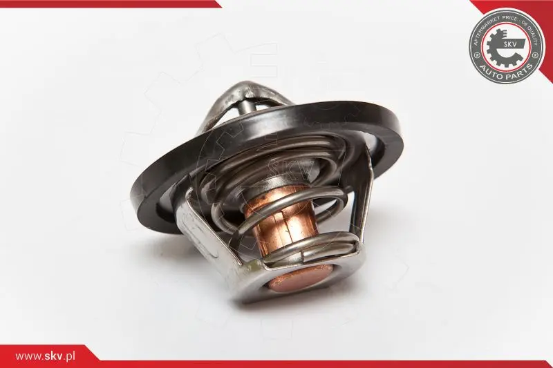 термостат, охладителна течност ESEN SKV            