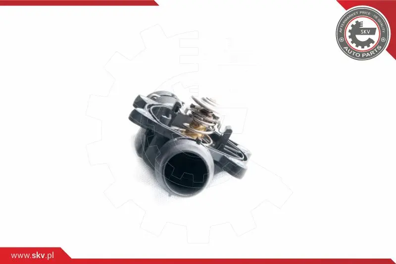 термостат, охладителна течност ESEN SKV            