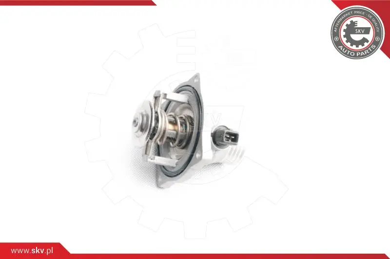 термостат, охладителна течност ESEN SKV            