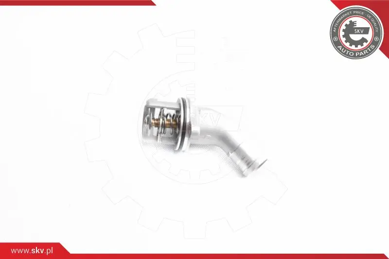 термостат, охладителна течност ESEN SKV            