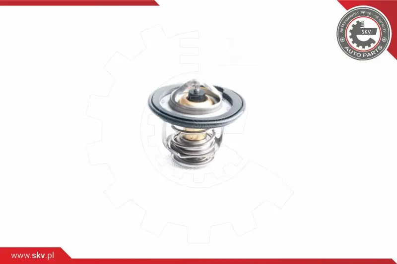 термостат, охладителна течност ESEN SKV            