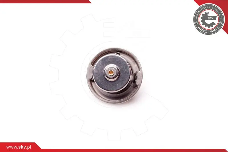 термостат, охладителна течност ESEN SKV            