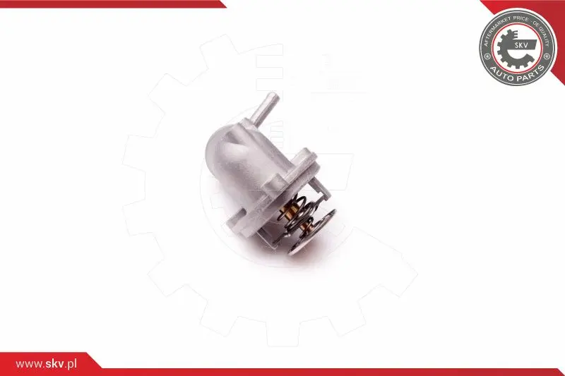 термостат, охладителна течност ESEN SKV            