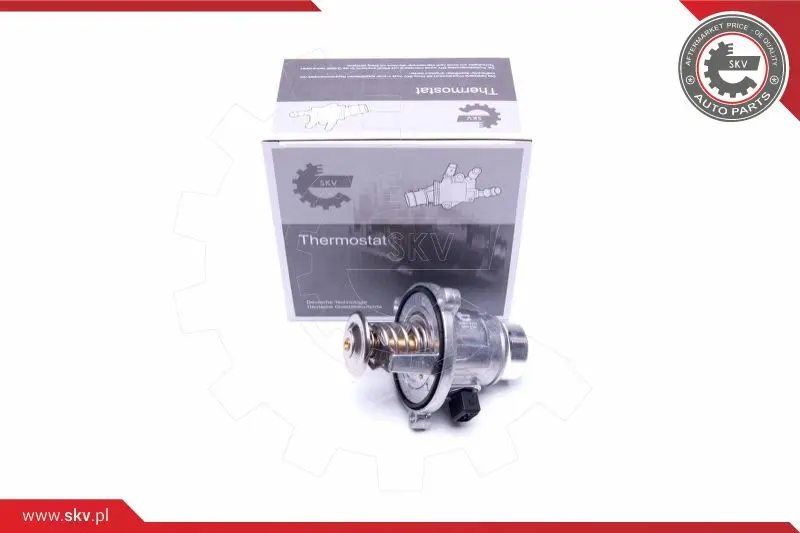 термостат, охладителна течност ESEN SKV            