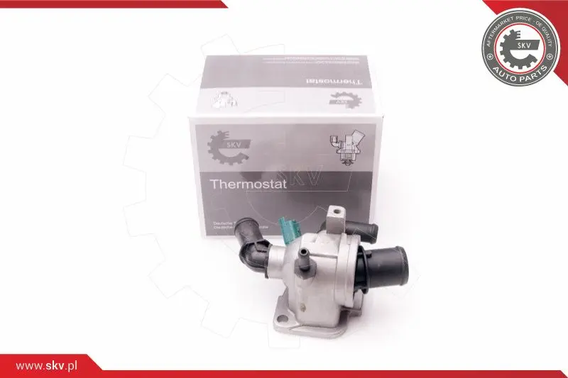термостат, охладителна течност ESEN SKV            