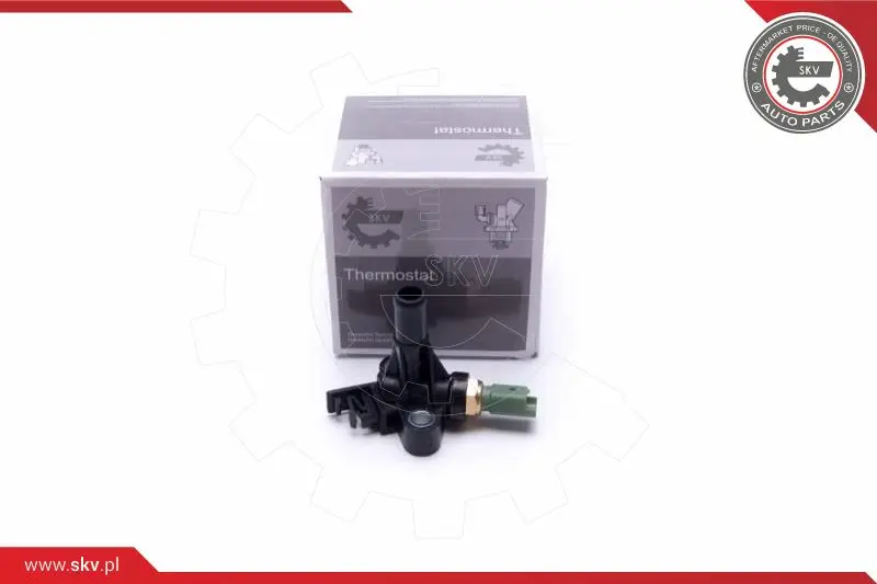 датчик, температура на охладителната течност ESEN SKV            