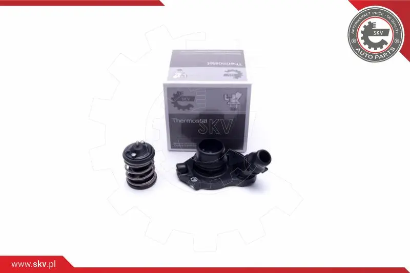 термостат, охладителна течност ESEN SKV            