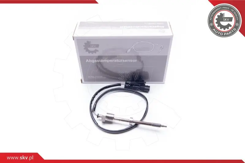 датчик, температура на изгорелите газове ESEN SKV            