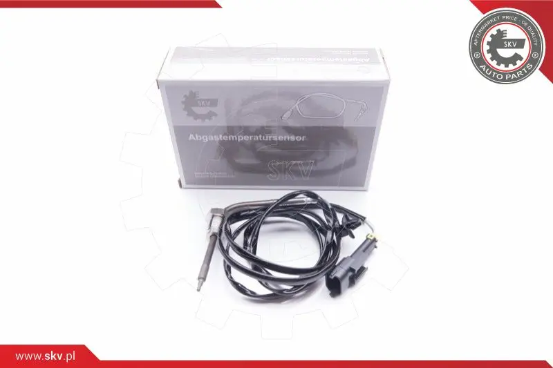 датчик, температура на изгорелите газове ESEN SKV            