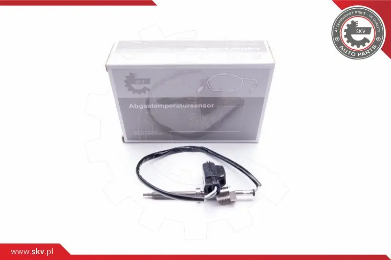 датчик, температура на изгорелите газове ESEN SKV            
