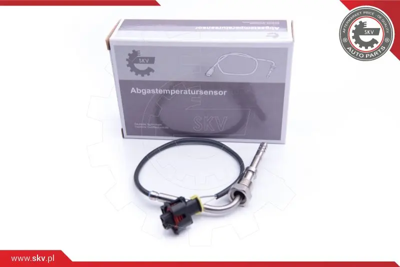 датчик, температура на изгорелите газове ESEN SKV            