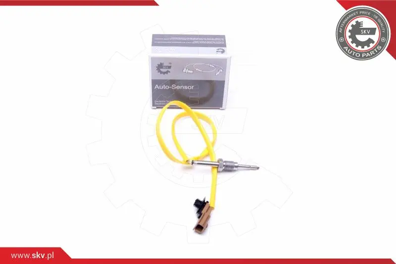 датчик, температура на изгорелите газове ESEN SKV            