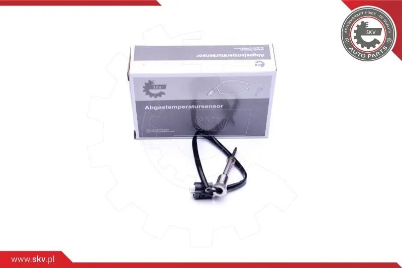 датчик, температура на изгорелите газове ESEN SKV            