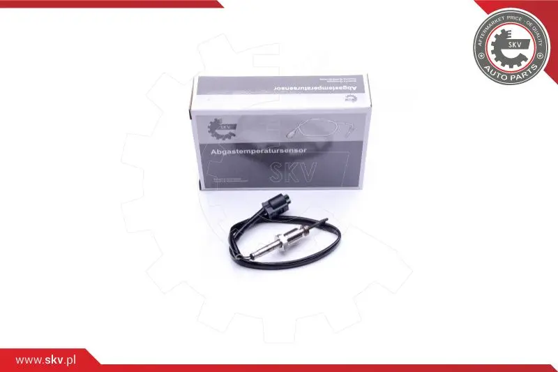 датчик, температура на изгорелите газове ESEN SKV            