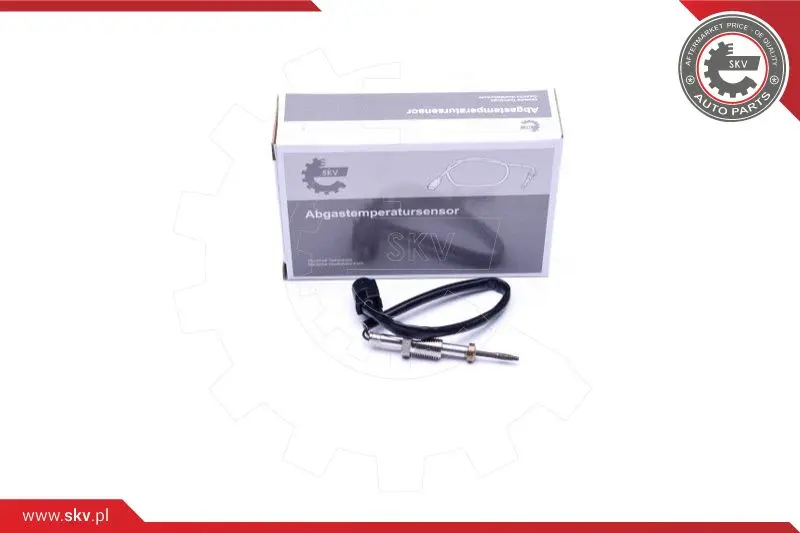 датчик, температура на изгорелите газове ESEN SKV            