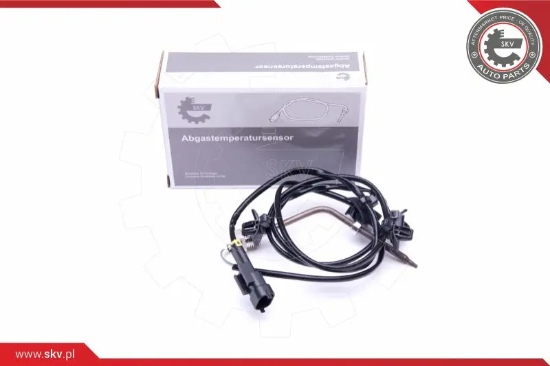 датчик, температура на изгорелите газове ESEN SKV            