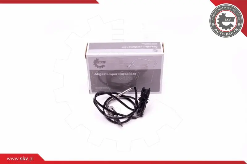 датчик, температура на изгорелите газове ESEN SKV            