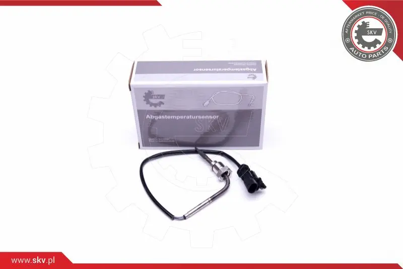 датчик, температура на изгорелите газове ESEN SKV            