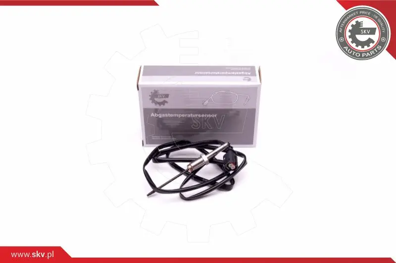 датчик, температура на изгорелите газове ESEN SKV            