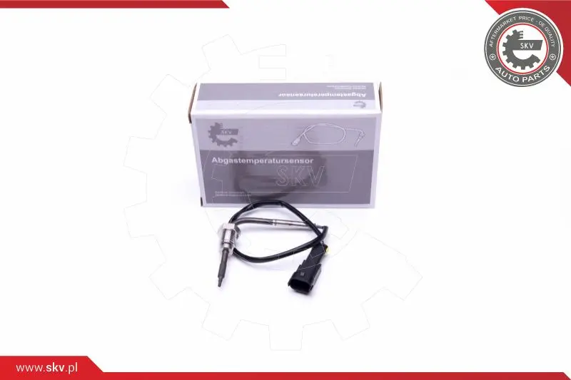 датчик, температура на изгорелите газове ESEN SKV            