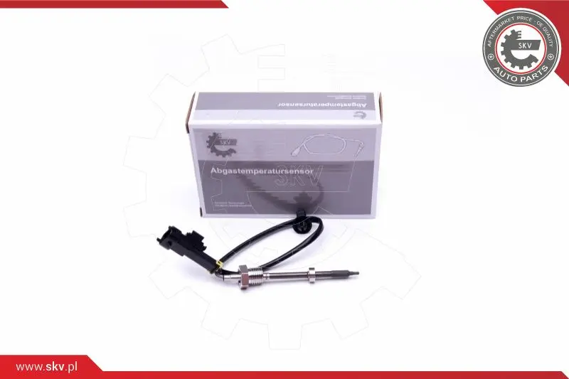 датчик, температура на изгорелите газове ESEN SKV            