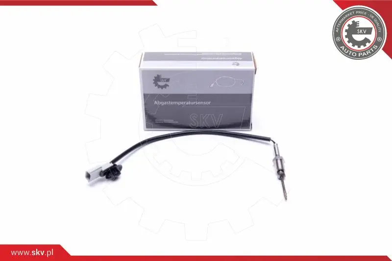 датчик, температура на изгорелите газове ESEN SKV            