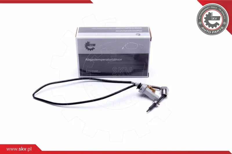 датчик, температура на изгорелите газове ESEN SKV            