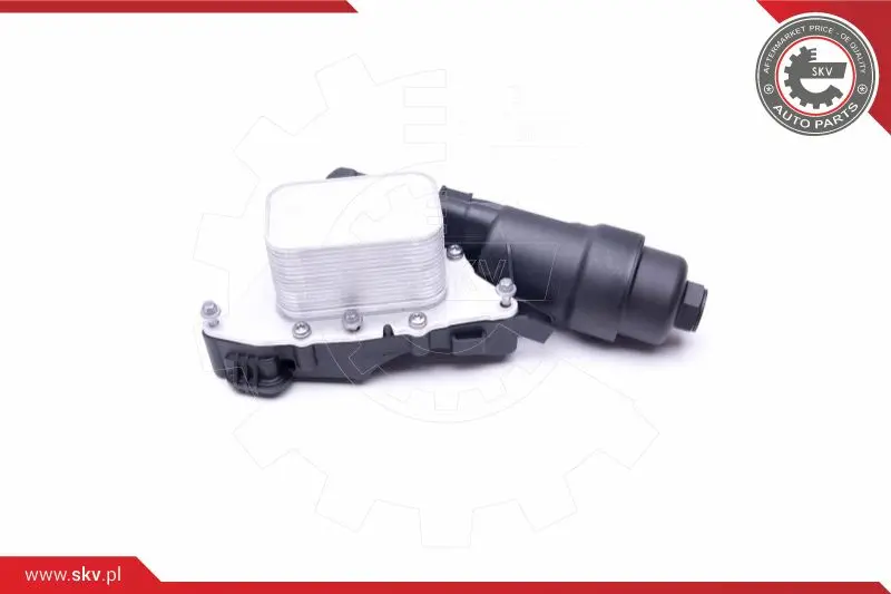 маслен радиатор, двигателно масло ESEN SKV            