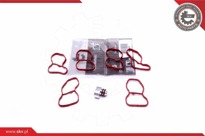 ремонтен комплект, модул всмукателна тръба ESEN SKV            