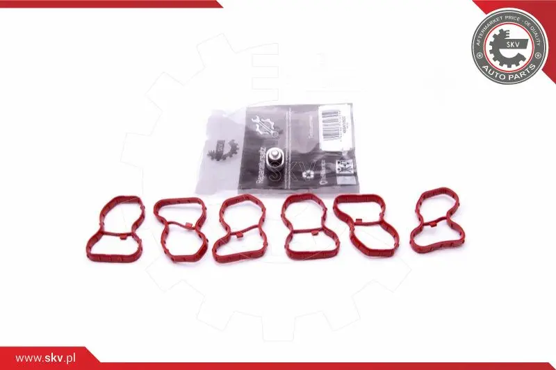 ремонтен комплект, модул всмукателна тръба ESEN SKV            