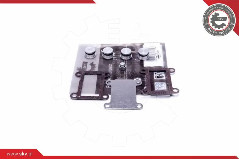 ремонтен комплект, модул всмукателна тръба ESEN SKV            