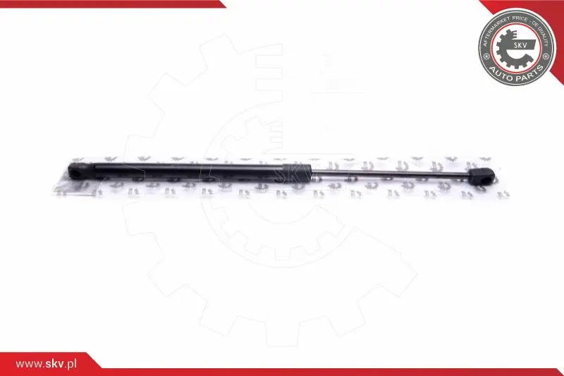 газов амортисьор, багажно-товарно пространство ESEN SKV            