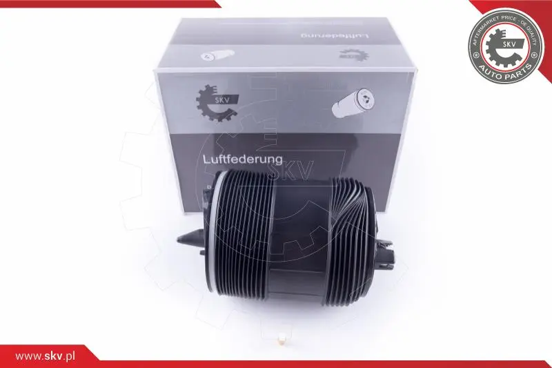 Въздушна възглавница, окачване ESEN SKV            