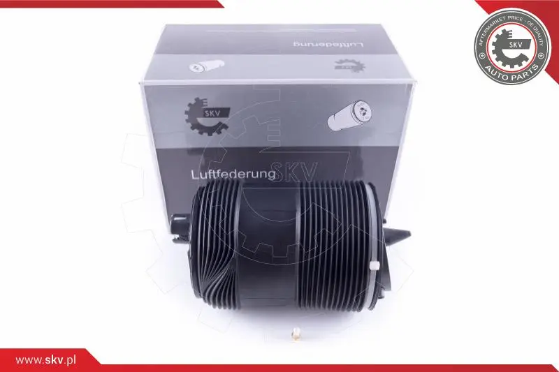 Въздушна възглавница, окачване ESEN SKV            