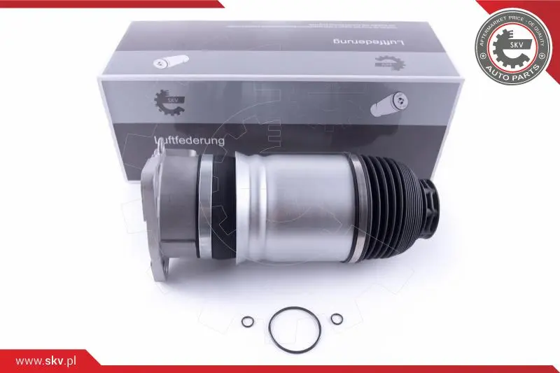 Въздушна възглавница, окачване ESEN SKV            