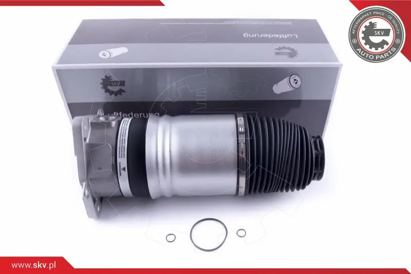 Въздушна възглавница, окачване ESEN SKV            